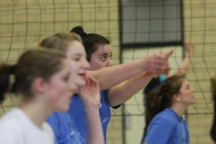 landesliegaaufstieg-volleyball-damen-2010-1