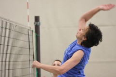 landesliegaaufstieg-volleyball-damen-2010-5